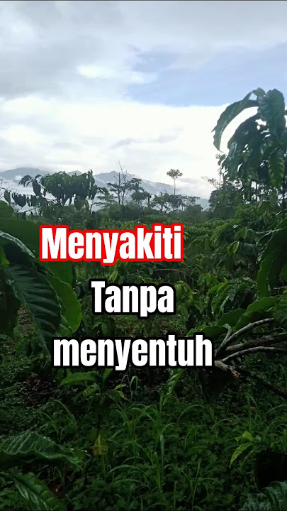 menyakiti tanpa menyentuh #shortsviral #short #shorts #katakatabijak #quotes #motivasikehidupan