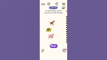 Mind Test: Brain Games Level 66 By Rick Gaming