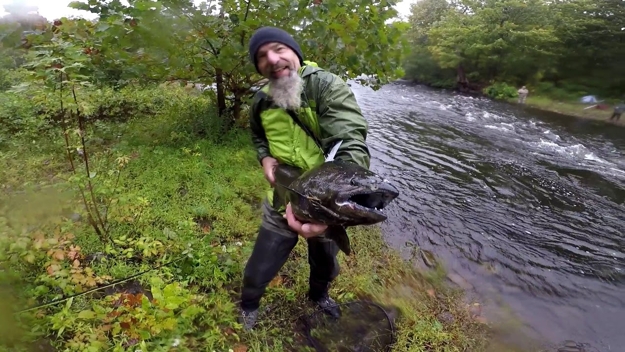 Salmon Flyfishing in Pulaski, NY Reel Highlights 2018 YouTube