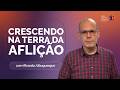 JOSÉ, MANASSÉS E EFRAIM: A Graça que Cura e Faz Frutificar | Meu Porto Seguro | IPPTV