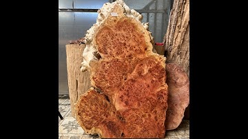 ĐỒ GỖ NGA TÌNH 0868413011 (10/12) CHUYÊN GỖ QUÝ NU HUYẾT LONG KONTUM GIÁ XƯỞNG