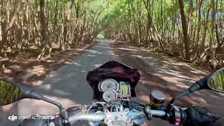HealTech Quickshifter Easy Low Speed Shifting 2015 BMW F800R