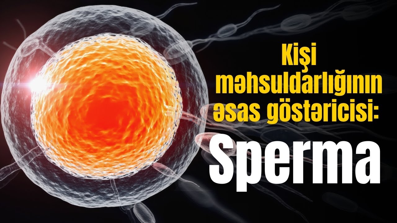 Sperma haqqında hər kəsin bilməli olduğu faktlar