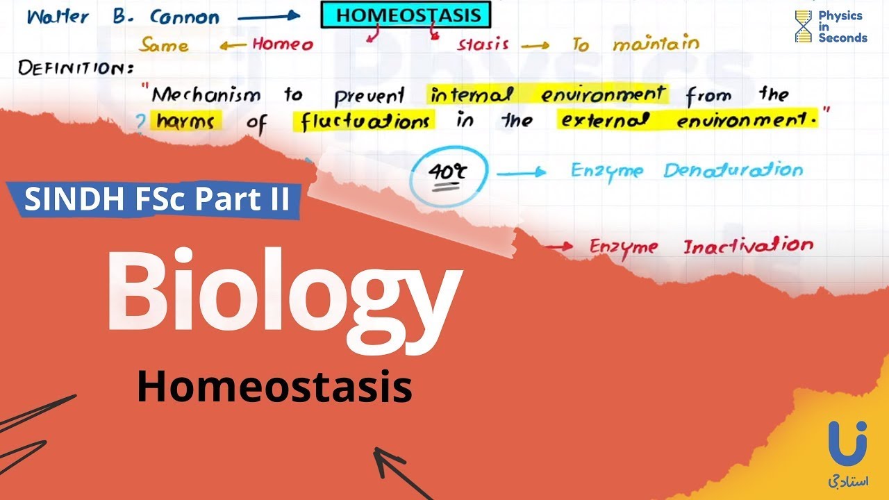 biology-homeostasis-sindh-board-lecture-4-youtube