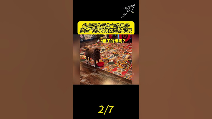 盘点那些爱生气的狗子，连生气的时候都那么可爱#狗狗 #狗狗成精了 #动物的迷惑行为 #养狗的乐趣 #萌宠 2 #看一遍笑一遍 #搞笑 #人類迷惑行為