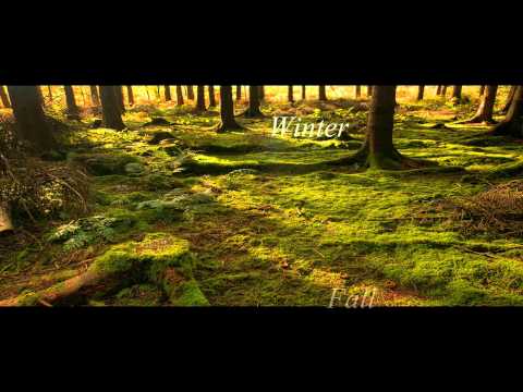 environmental-science-:-biomes---deciduous-forests