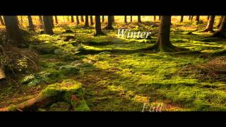 Environmental Science : Biomes - Deciduous Forests