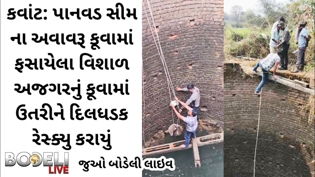 કવાંટ: પાનવડ સીમના અવાવરૂ કૂવામાં ફસાયેલા વિશાળ અજગરનું કૂવામાં ઉતરીને દિલધડક રેસ્ક્યુ કરાયું 