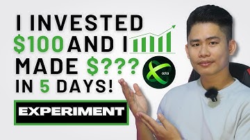 OctaFx Copy Trading Review