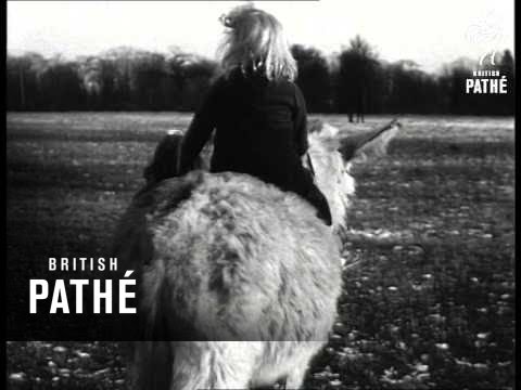 Thanks For The Donkey-Ride (1945)