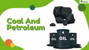 Coal and Petroleum | Quick Revision | Class 8 | Full Chapter Explanation | NCERT
