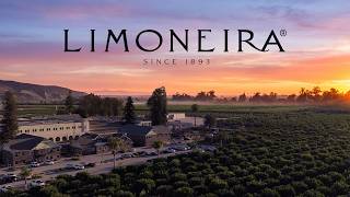 Limoneira 2026 | A New Dawn in Our Legacy