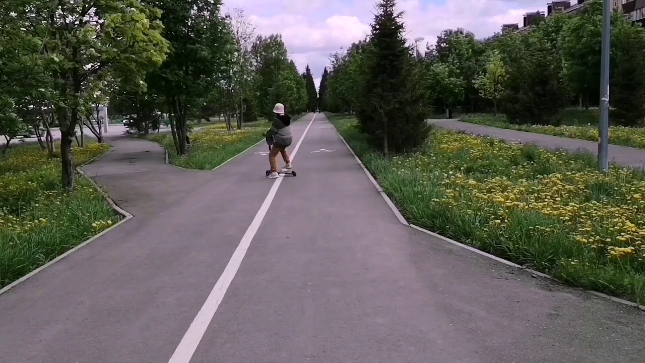 Самоучитель езды на машине