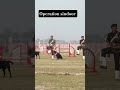 #operationsindoor #militaryforce