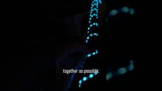 You HAVE To Try These Lights | Christmas Lights LED Pixels