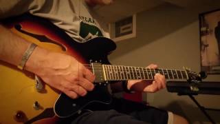 Vintage Brand Vsa 535 Semi-Hollow Body Guitar Demo