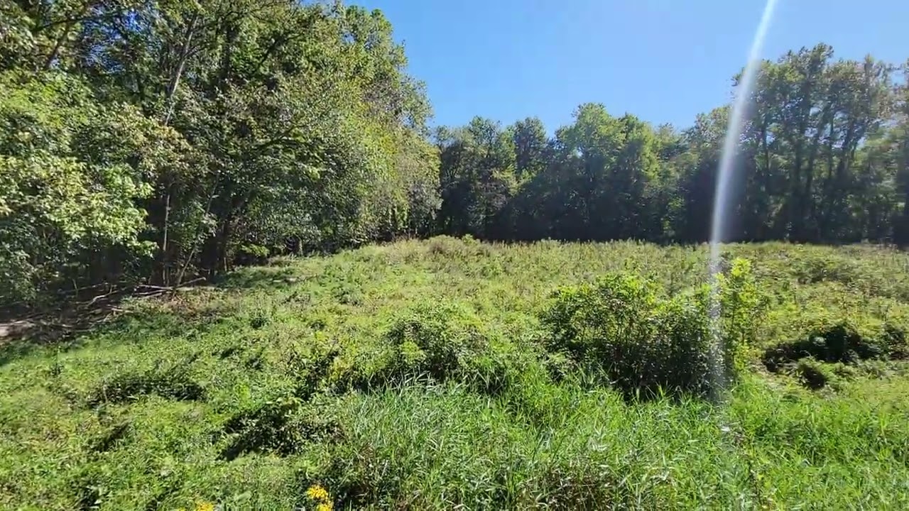 At a lot near the Bourbeuse River