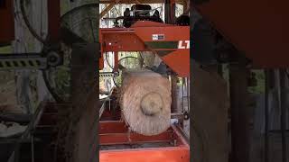 Sawing 3rd edging slab from a nice poplar