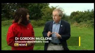 Dr Gordon McGlone on the Proposed Badger Cull