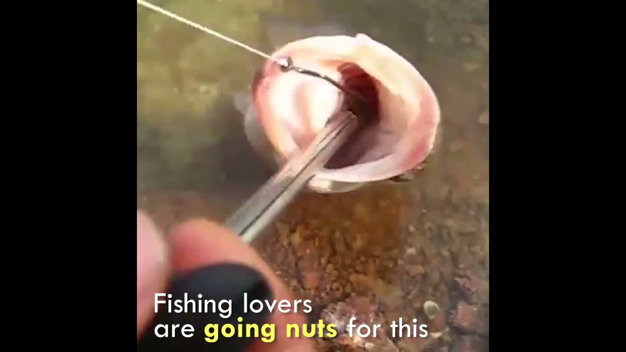 Beta Hook™️- Fish Hook Remover