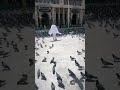 الفنان حسن أبو الروس في موسم الحج الفنان حسن أبو الروس في موسم الحج