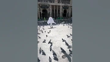 الفنان حسن أبو الروس في موسم الحج 