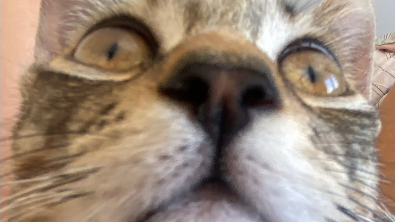 better off without (?) -wicty