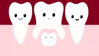 The Journey of Your Changing Teeth | Curaprox Kids Oral Health Series screenshot 5