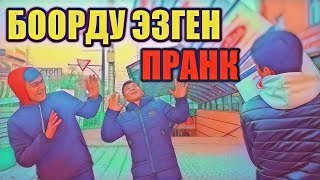 Боорду эзген пранк