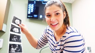 Gender And Anatomy Baby Ultrasound