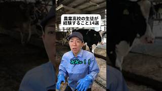 捌く経験ってきっと大事だよな…しかも自分が育てた牛さんとか鶏さんだし