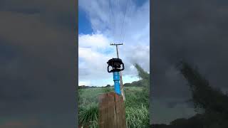 lf2400 rainbird #roça #pecuarista #nature #sitio