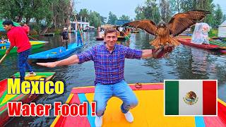 SURFING Mexico's Ancient Canals?! 🚣‍♂️ (Mariachi, Falcons &amp; Street Food!)