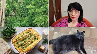 15 июня 2026 г Краматорск. ВЕЧЕР/Сирена🚨Жужжат🙁 Люди ее спасли🙂 Пирог из лаваша👍Жидкий утюг/ Буся😺