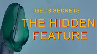 3 THINGS YOU DON'T KNOW ABOUT THE IGEL
