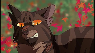 Black Eyes - Tigerstar MAP - Part 6