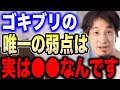 【ひろゆき】ゴキブリって実は●●が弱点なんですよね。暖かくなってくるとGも動き出すので対策方法を伝授します【切り抜き 論破 害虫駆除業者 ブラックキャップ バルサン 閲覧注意 hiroyuki】