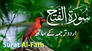 surah fatah | surah fatah with urdu translation | Quran with Urdu Hindi Translation