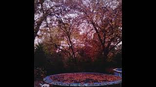 [FREE] Midwest Emo + Sad Indie Type Beat third degree @yunnygoldz
