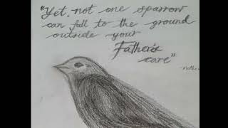 Not one sparrow is forgotten by God (Matthew 10:29)