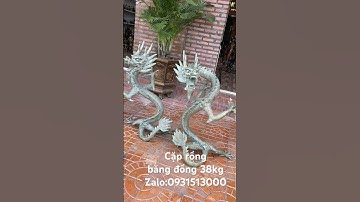 Cặp rồng bằng đồng #đồcổcầnthơ #phongthuy #doxua #đồcổ #doco #lưđồng #automobile #tượngđồng