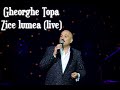 Gheorghe Țopa - Zice lumea (Live)