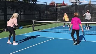 Ont. community shocked after person dies while playing  pickleball