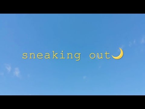 sneaking out🌙 -dandelions