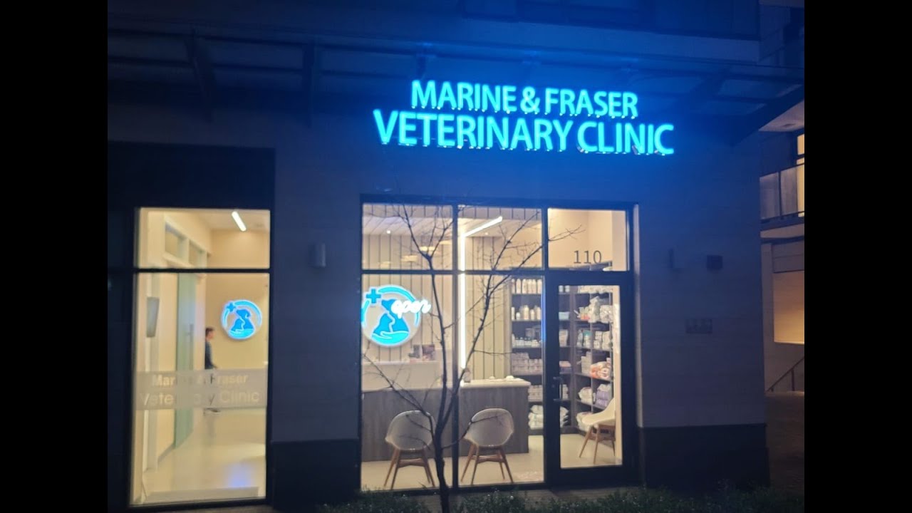 Direction to Marine and Fraser Veterinary Clinic Vancouver YouTube
