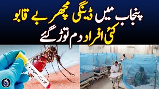 Dengue mosquitoes go out of control in Punjab - Aaj News