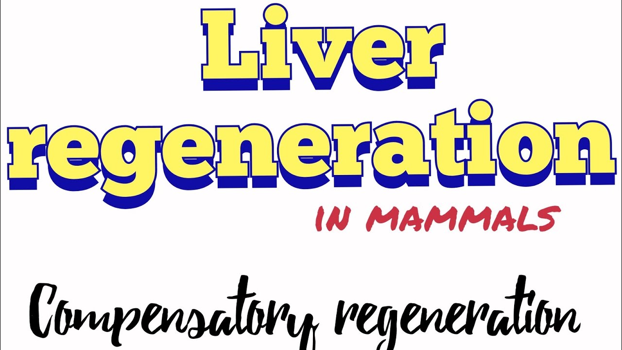 Liver regeneration in mammals Compensatory regeneration
