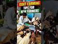 Goat Farming Tips #goat #goatcare #goatfarming #bakripalan #babygoats #bakramandi #chagol #shorts