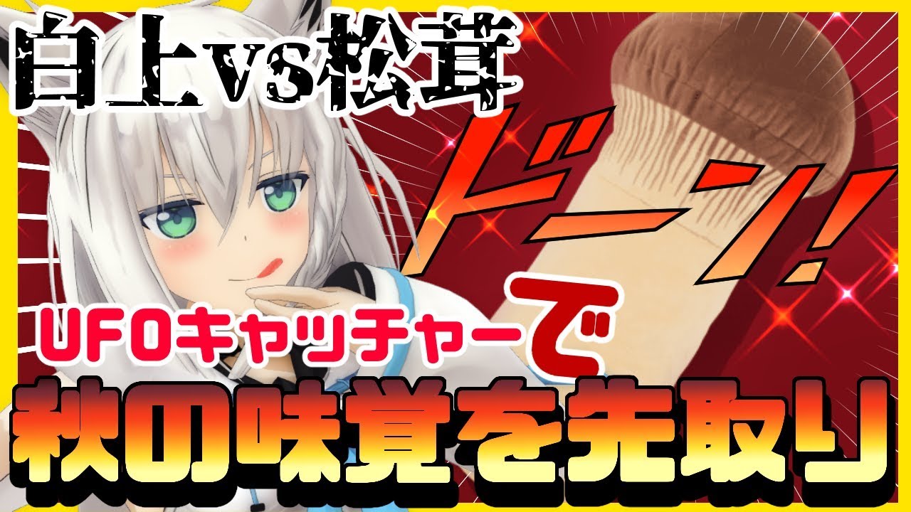 白上VS松茸！！！！秋の味覚を先取りキャッチーじゃい！