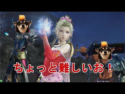 おわんこちゃんのメテオティナで拒否チャをがんばるぞ！　dffac ティナ　＃９